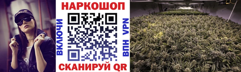 Купить наркотик аптеки Железногорск гидра онион  Псилоцибиновые грибы  Бошки Шишки  Меф мяу мяу  Alpha-PVP 