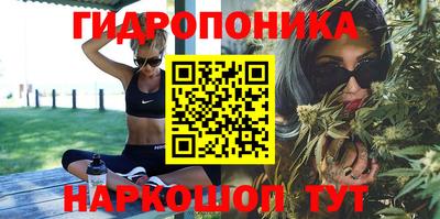 эйфоретик Гусь-Хрустальный