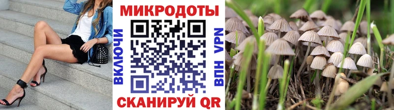 Псилоцибиновые грибы прущие грибы  нарко площадка как зайти  Железногорск  MEGA ссылка 