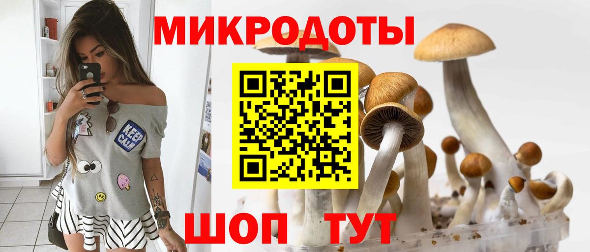 Псилоцибиновые грибы Magic Shrooms  наркотики  Железногорск  Вход с VPN 